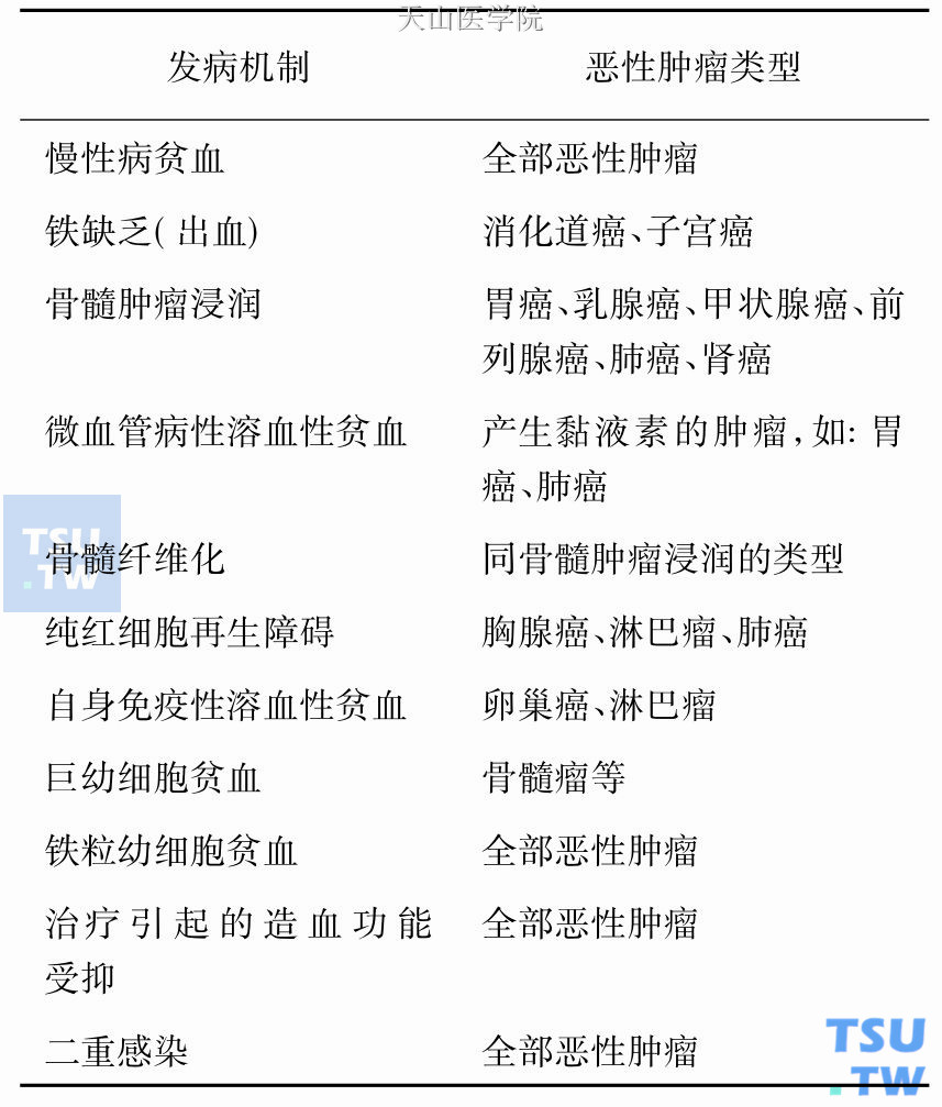 肿瘤所致贫血