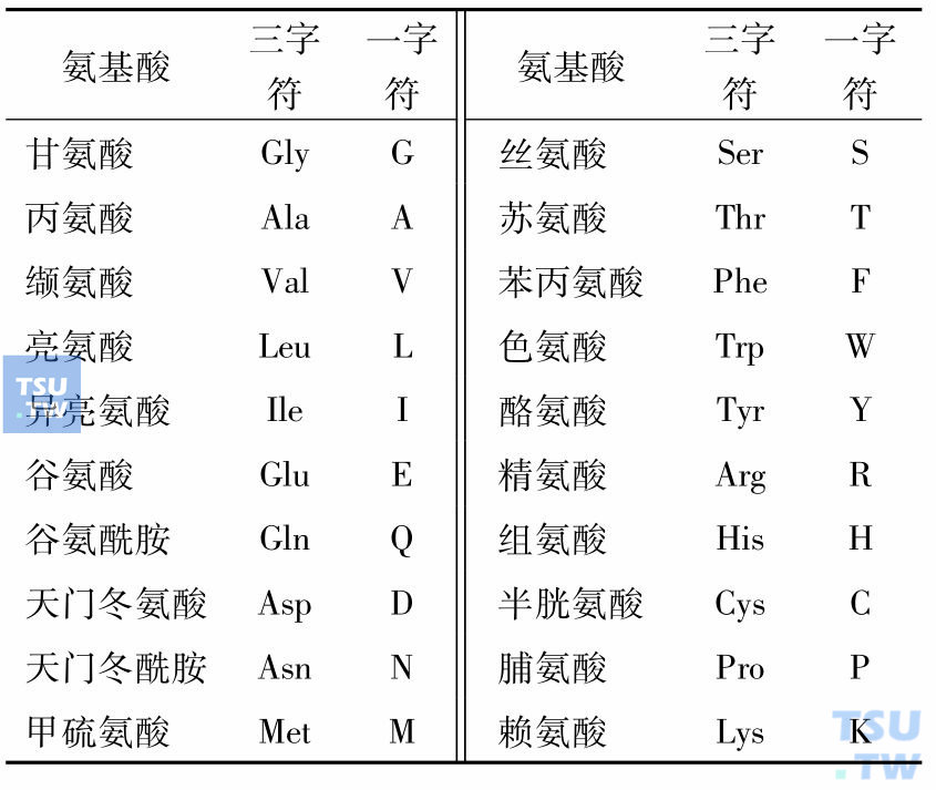 蛋白质分子的基本构建单位——氨基酸