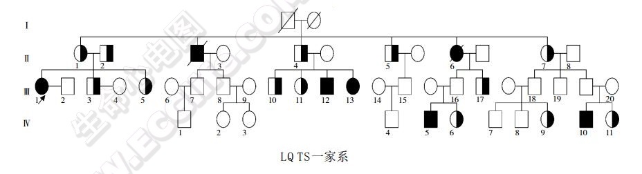 长QT综合征（QT间期延长综合征、LQTS）