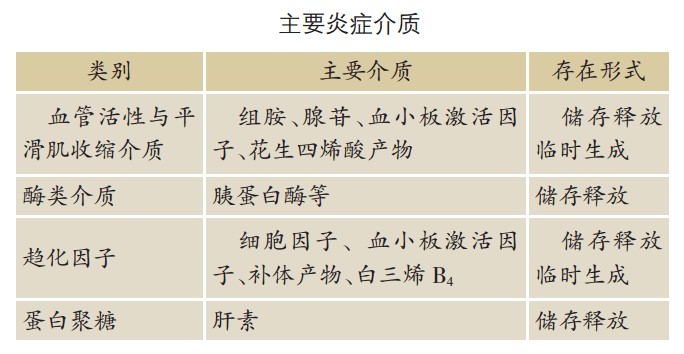 皮肤内的有关介质