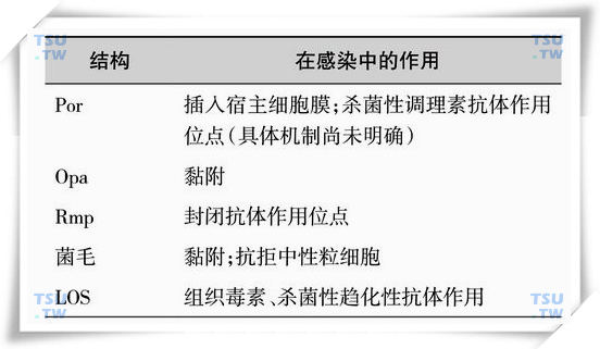 常见男性生殖道感染致病菌及致病机制