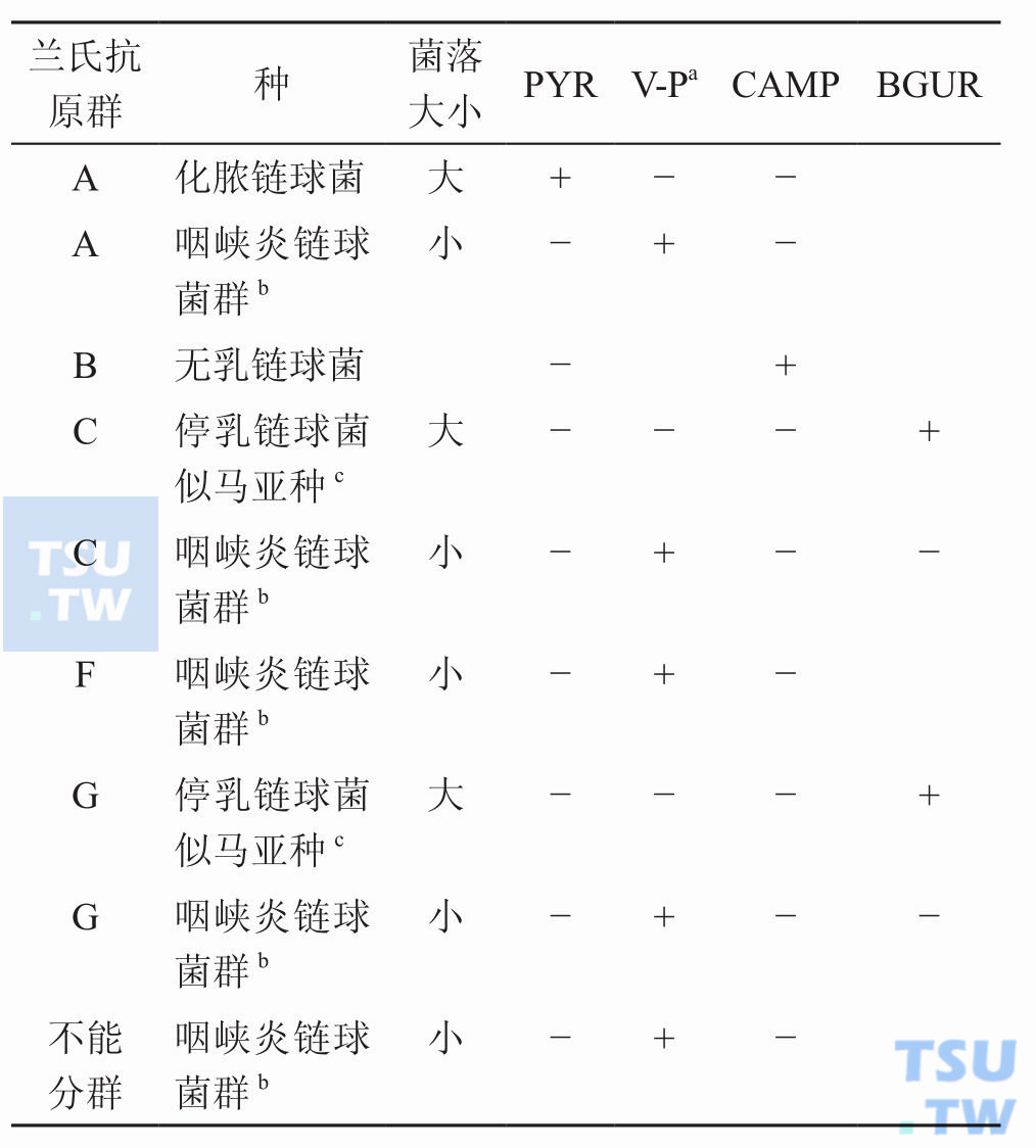 人源性β溶血性链球菌主要有哪几群？主要鉴定特征是什么？