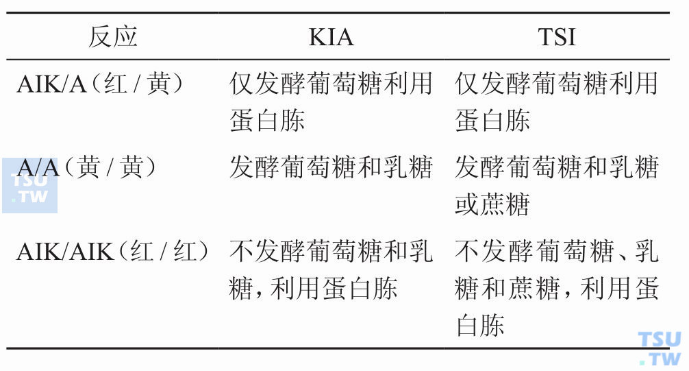 肠杆菌科细菌在双糖铁琼脂和三糖铁反应有何不同？