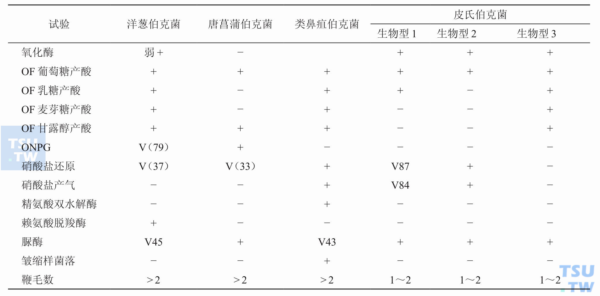 洋葱伯克菌有什么特性？与属内其他菌种怎样鉴别？